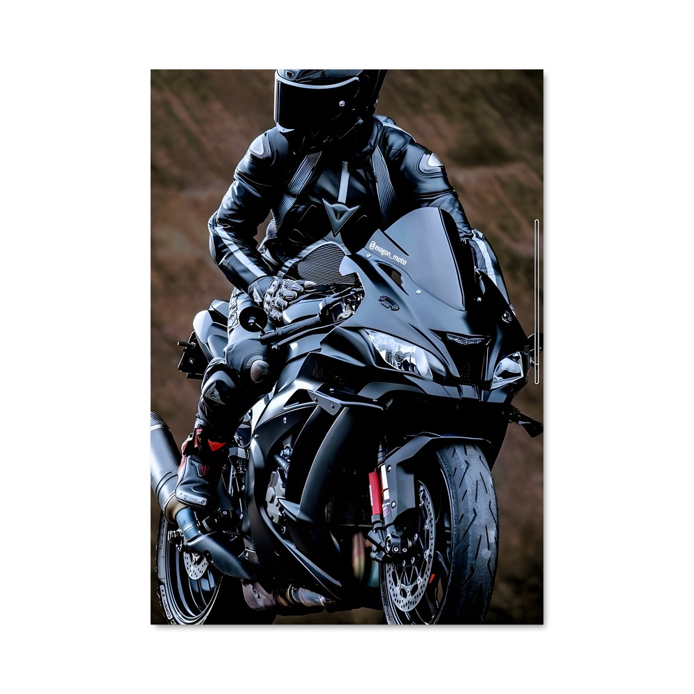 Poster Ninja Mystique H2
